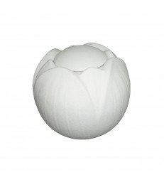 Urne funéraire Biosoluble LOTO