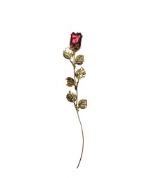 Rose Or
