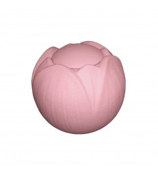Urne funéraire Biosoluble LOTO