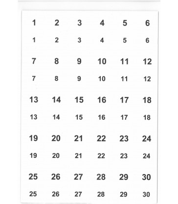 2010 Étiquettes jumelles numérotées en planches