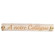 Inter altuglas OPALE pour plaque funéraire