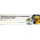 Bâche PVC 500g 300x100 cm avec 8 œillets