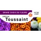 Bâche PVC 500g 300x100 cm avec 8 œillets