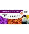 Bâche PVC 500g 300x100 cm avec 8 œillets