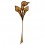 Arum en bois